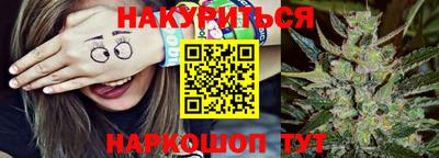 mdpv Можга