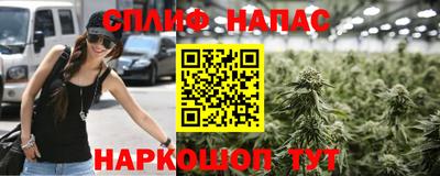 mdpv Можга