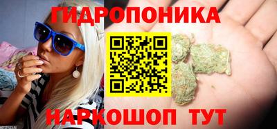 PSILOCYBIN Моздок