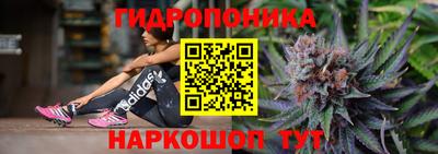 PSILOCYBIN Моздок