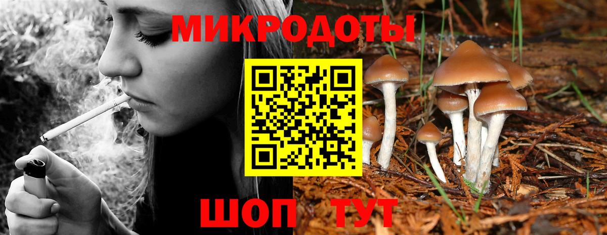 Псилоцибиновые грибы GOLDEN TEACHER  Галлюциногенные грибы мицелий  Вход с VPN  Владимир 