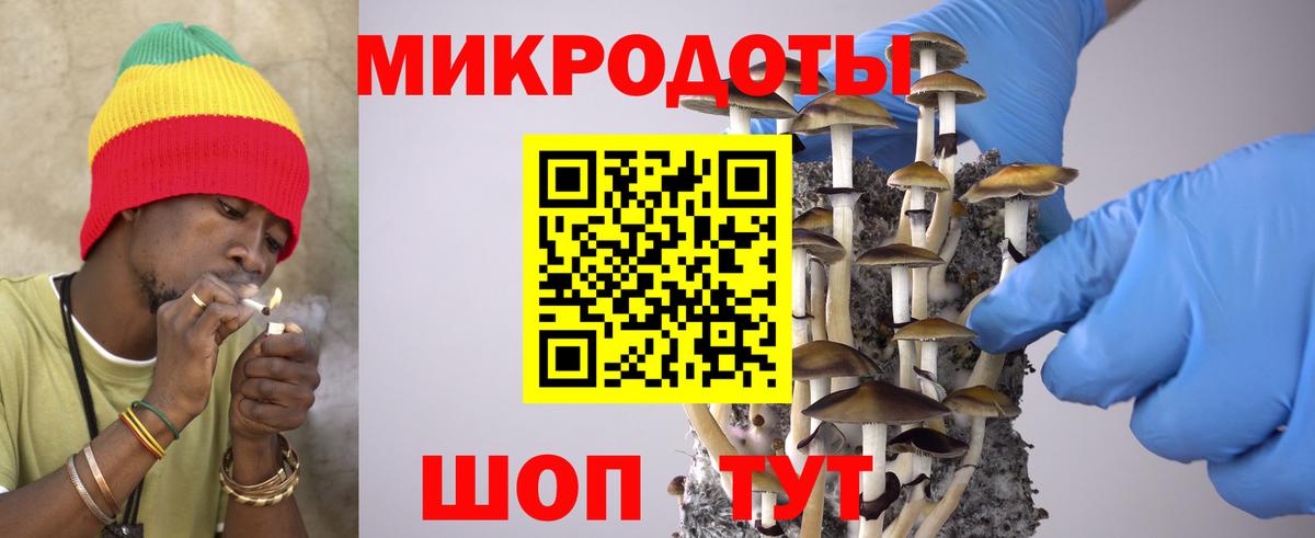 Галлюциногенные грибы мухоморы Владимир
