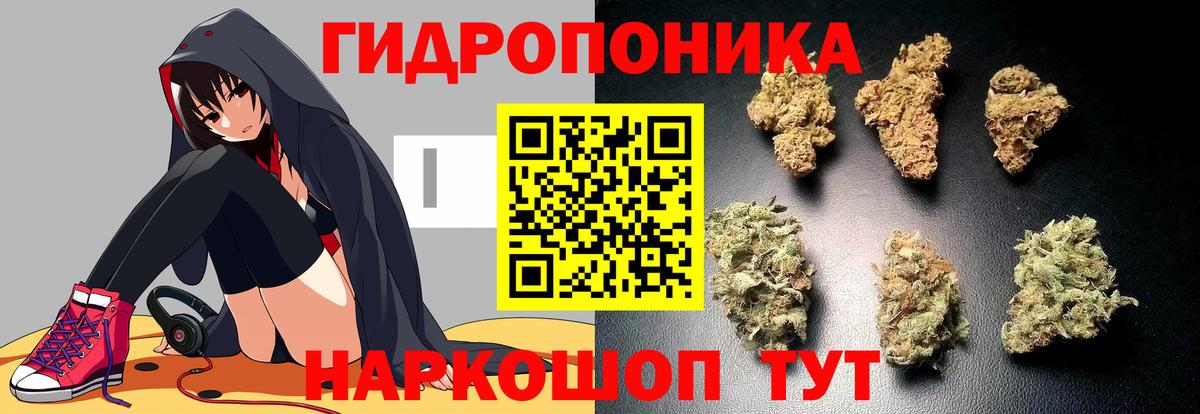Владимир  Каннабис White Widow  Бошки Шишки тримм  Бошки Шишки конопля  Вход с VPN 